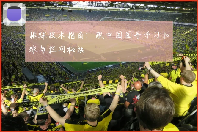 排球技术指南:跟中国国手学习扣球与拦网秘诀