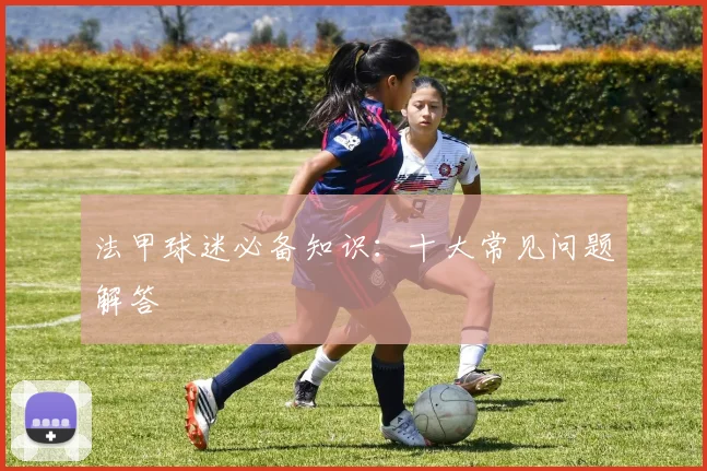 法甲球迷必备知识:十大常见问题解答