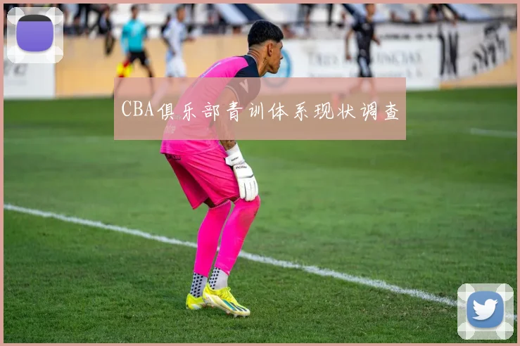 CBA俱乐部青训体系现状调查